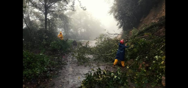 Causará tormenta tropical fuertes lluvias en Hidalgo