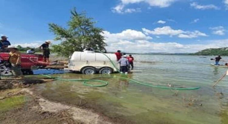 Hidalgo perdió 40% de la producción de peces por sequía