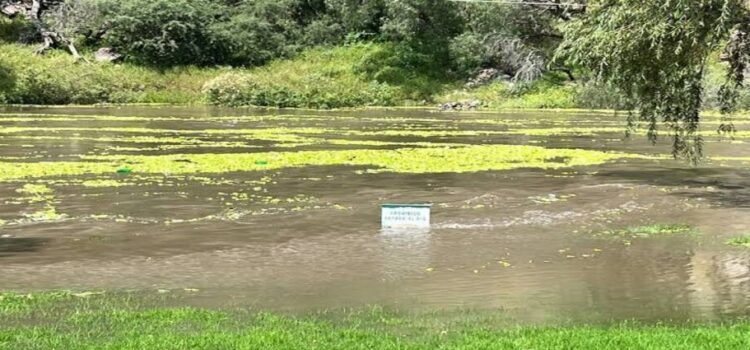 Cierran 7 balnearios en Hidalgo por subida del Río Tula