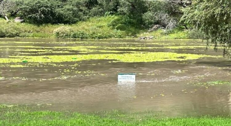 Cierran 7 balnearios en Hidalgo por subida del Río Tula