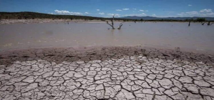 Tras intensas lluvias, vuelve la sequía a Hidalgo