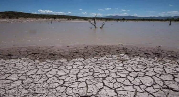 Tras intensas lluvias, vuelve la sequía a Hidalgo