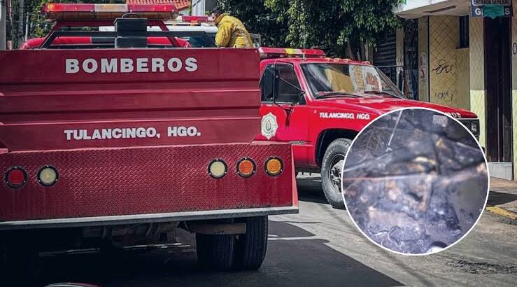 Bomberos sofocan incendio en Tulancingo, descubren 2 cuerpos calcinados