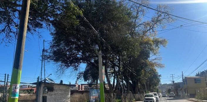 Derribo de árboles en Tulancingo que causó inconformidad será revisado con la Conagua