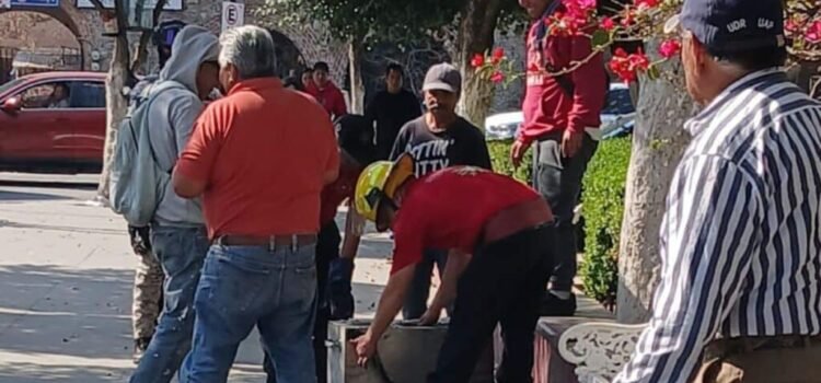 Hallan en pleno centro a una serpiente