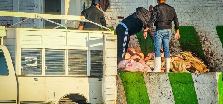 Sacrifican con sanidad sólo 1 de cada 16 animales en Tulancingo