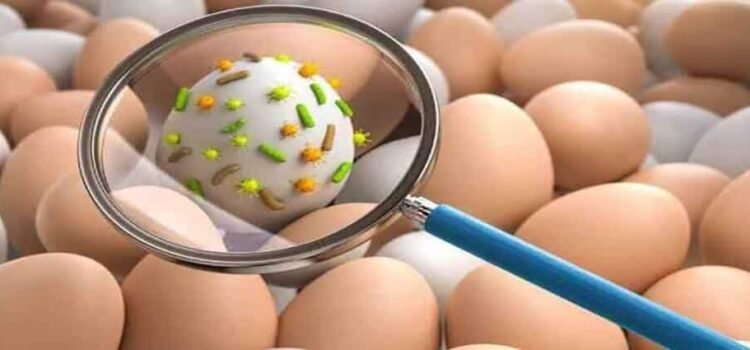 Registra Hidalgo 17 casos de salmonelosis