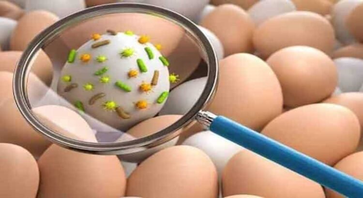 Registra Hidalgo 17 casos de salmonelosis
