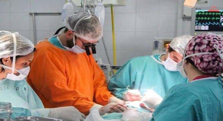 Diputada denuncia insuficiencia de recursos para trasplantes en Hidalgo