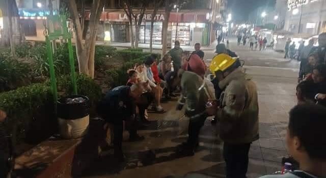 Rescatan a lechuza herida en el centro de Tulancingo