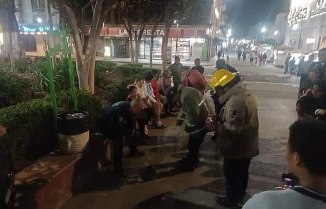 Rescatan a lechuza herida en el centro de Tulancingo