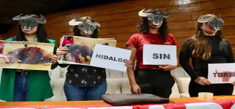Presentan iniciativa para prohibir las corridas de toros en Hidalgo