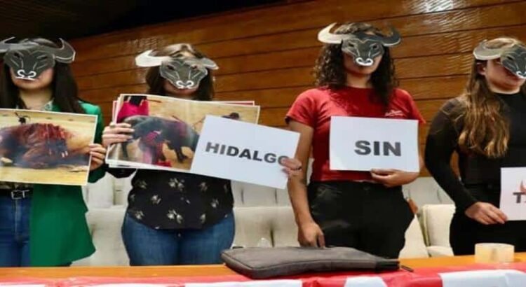 Presentan iniciativa para prohibir las corridas de toros en Hidalgo