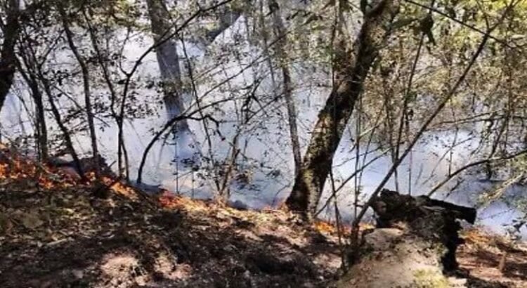 Por esta razón no puedes hacer fogatas en bosques de Hidalgo