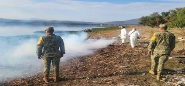 Diputado pide declarar emergencia sanitaria por presencia del mosco Culex en Hidalgo
