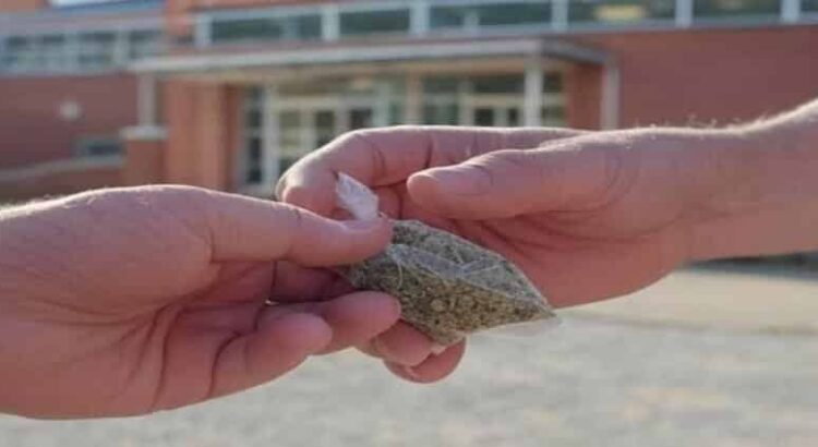Investigan presunta venta de droga cerca de escuelas en Hidalgo