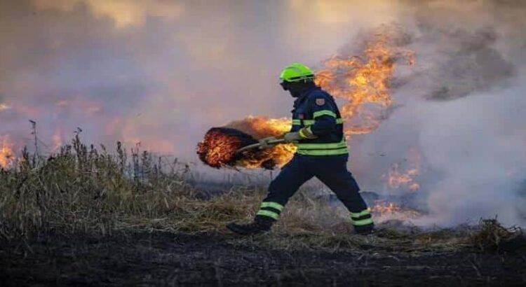 En menos de cuatro meses, Hidalgo supera incendios forestales del año pasado