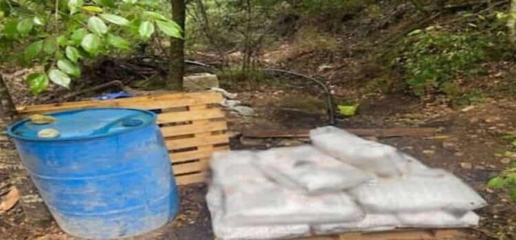 Desmantelan narcolaboratorio de metanfetaminas en zona boscosa de Hidalgo