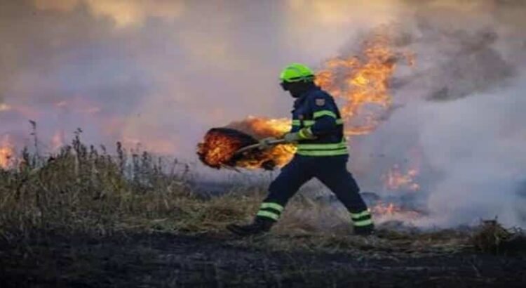 Se han combatido casi 300 incendios en Hidalgo en lo que va del año