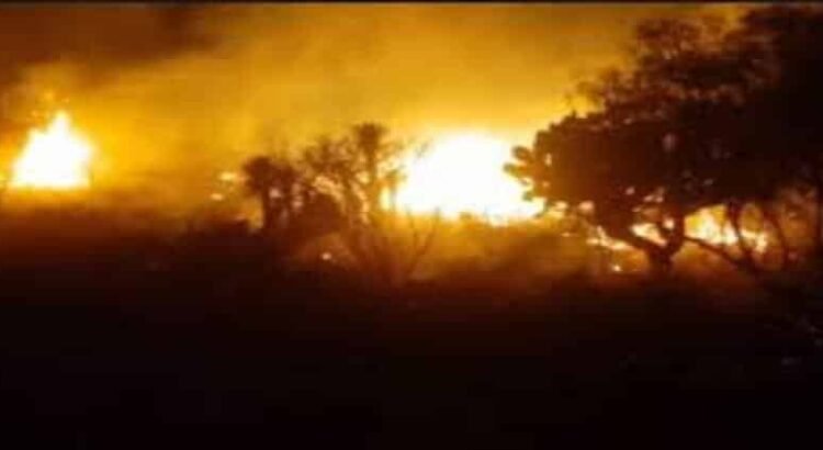Incendio forestal sin control en Epazoyucan, Hidalgo