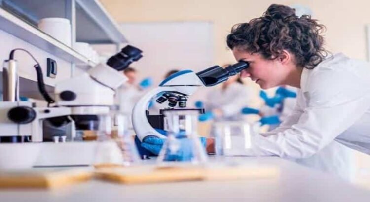 Hidalgo se une a proyecto internacional para impulsar a mujeres en ciencia y tecnología