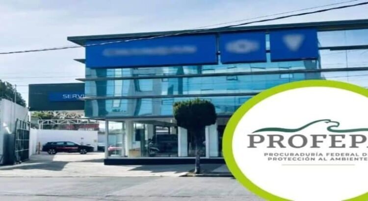 Clausuran empresa de autos en Hidalgo por mal manejo de residuos peligrosos