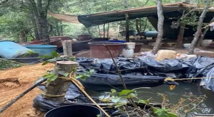 DEA revela que tres cárteles del narcotráfico operan en Hidalgo