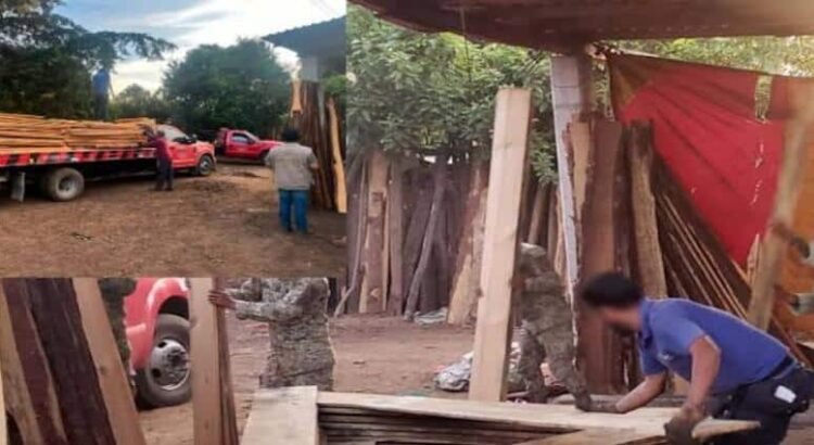 Desmantelan tres aserraderos ilegales en Hidalgo