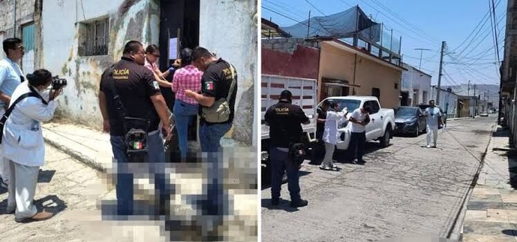 Rescatan a dos perritas tras cateo en la colonia Francisco I. Madero