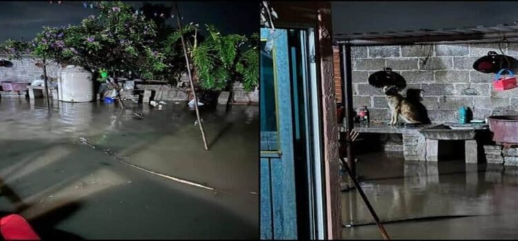 Intensas lluvias provocan daños severos por inundaciones en Tepetitlán, Hidalgo