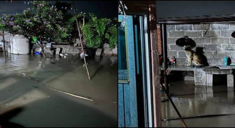 Intensas lluvias provocan daños severos por inundaciones en Tepetitlán, Hidalgo