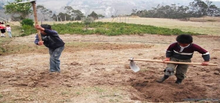 En Hidalgo, casi 60 mil menores ejercen trabajos no permitidos