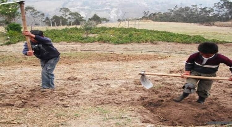 En Hidalgo, casi 60 mil menores ejercen trabajos no permitidos