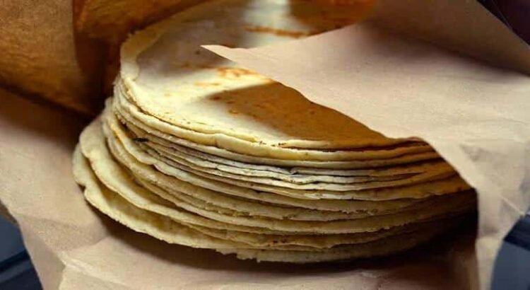 Productores de masa y tortilla en Hidalgo piden regularizar la industria antes de bajar el precio