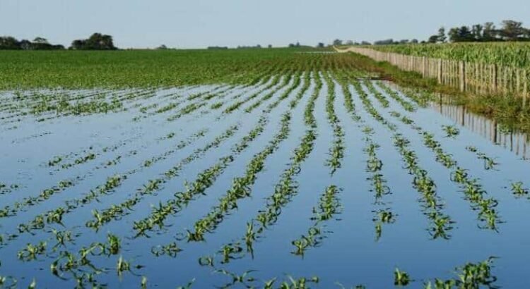 Gobierno de Hidalgo destina 120 millones para apoyar a productores por lluvias