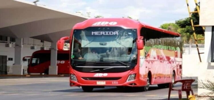 Corridas de autobuses continúan operando pese a lluvias en Hidalgo