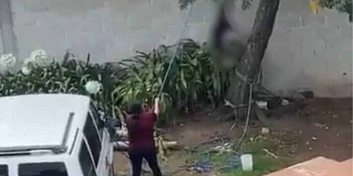 Suspenden audiencia de mujer que colgó a perro de árbol en Tulancingo
