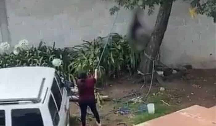Suspenden audiencia de mujer que colgó a perro de árbol en Tulancingo