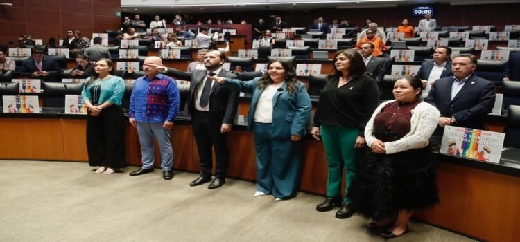 Erika Cabrera toma protesta como senadora suplente de Morena por Hidalgo Erika Cabrera toma protesta como senadora suplente de Morena por Hidalgo