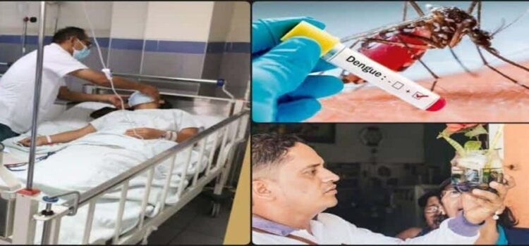 Hidalgo acumula 43 casos de dengue en seis meses