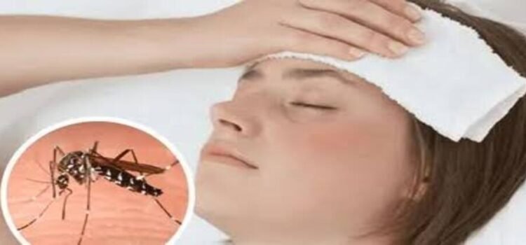 Dengue en Hidalgo: confirman 61 casos en 10 municipios