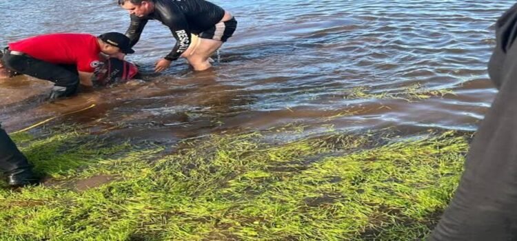 Padre e hija pierden la vida al ahogarse en presa en Hidalgo