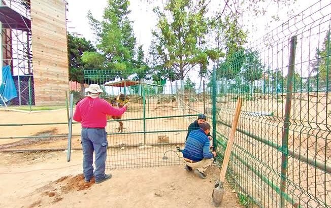 Continúan mejoras al interior del Zoológico de Tulancingo