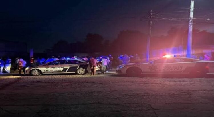 Droga, seis narcomenudistas detenidos y 29 perros rescatados, tras dos cateos en Hidalgo