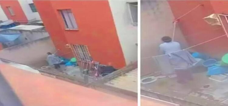 Causa indignación video de mujer golpeando y mojando a un perro en su patio en Hidalgo