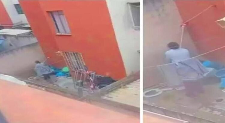Causa indignación video de mujer golpeando y mojando a un perro en su patio en Hidalgo