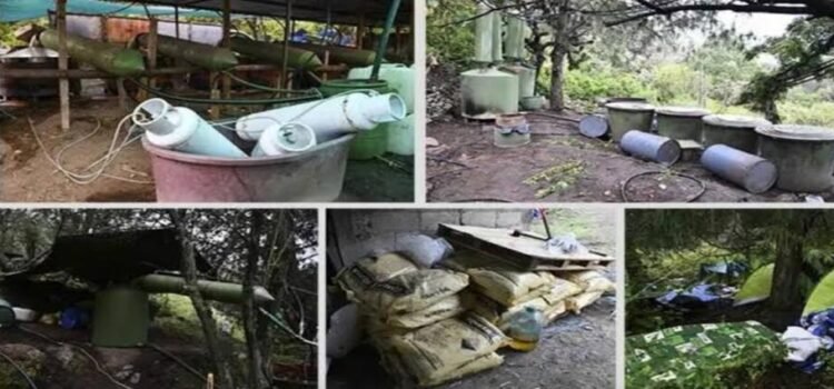 Desmantelan narcolaboratorio en Hidalgo; es el cuarto en menos de dos meses
