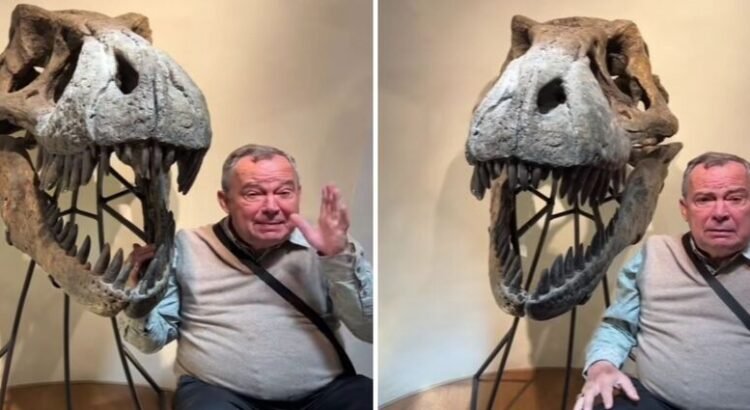 La espada de Cortés, el anillo de Maximiliano y el primer autorretrato de Frida Kahlo: la colección de arte que dejó Mauricio Fernández