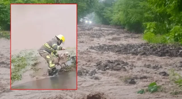 Clima y afectaciones en Hidalgo por el paso del huracán Priscila