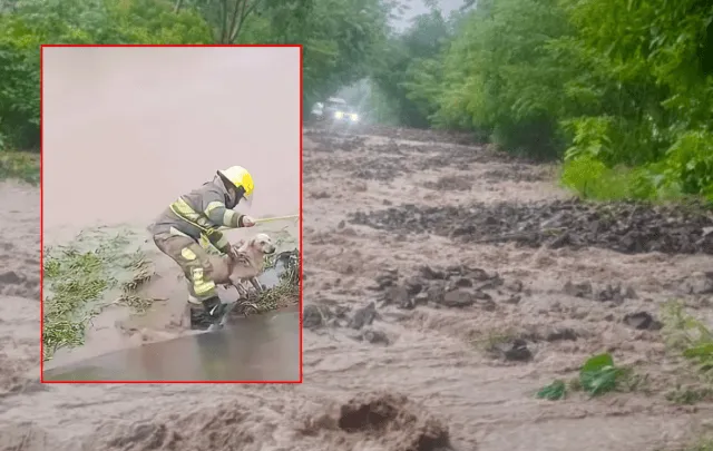Clima y afectaciones en Hidalgo por el paso del huracán Priscila